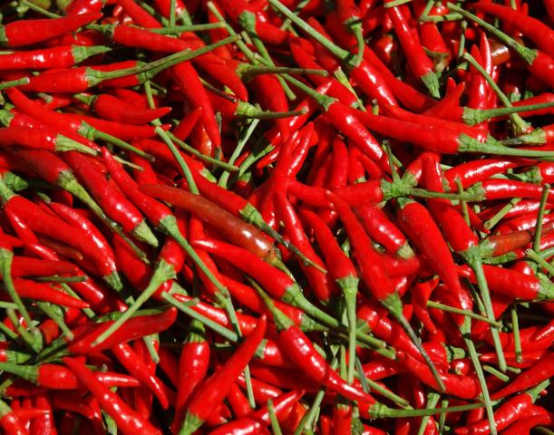 Chili paprika