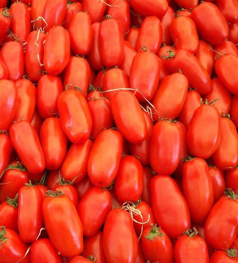 San Marzano